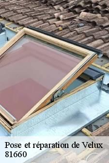 pose-et-reparation-de-velux