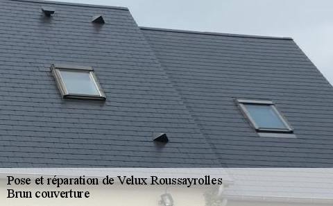 pose-et-reparation-de-velux