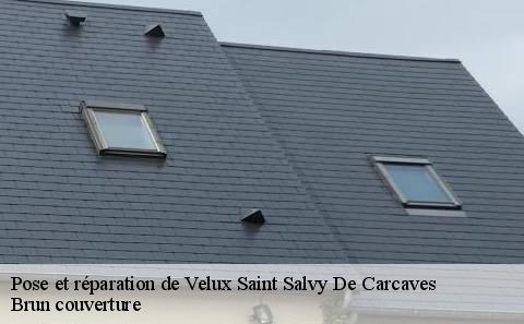 pose-et-reparation-de-velux