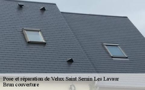 pose-et-reparation-de-velux