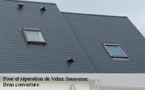 pose-et-reparation-de-velux