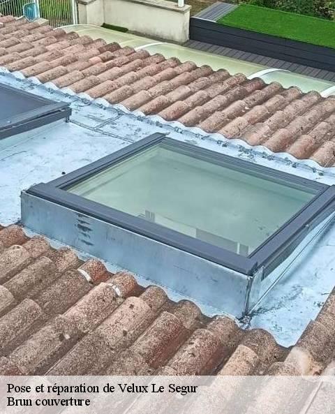 pose-et-reparation-de-velux