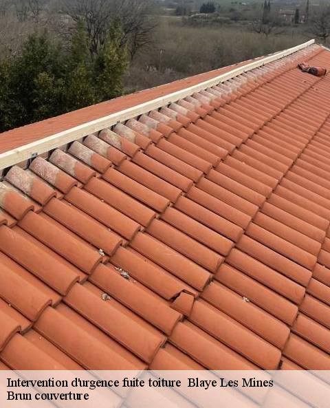 intervention-d-urgence-fuite-toiture