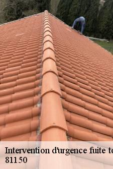 intervention-d-urgence-fuite-toiture