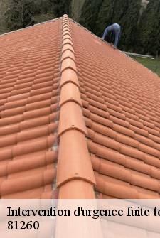 intervention-d-urgence-fuite-toiture