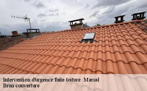 intervention-d-urgence-fuite-toiture