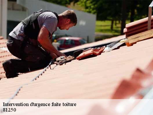 Intervention d'urgence fuite toiture 81250