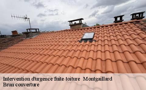 intervention-d-urgence-fuite-toiture