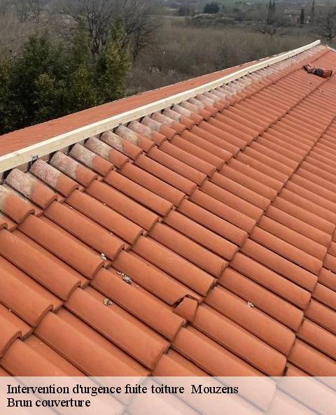 intervention-d-urgence-fuite-toiture