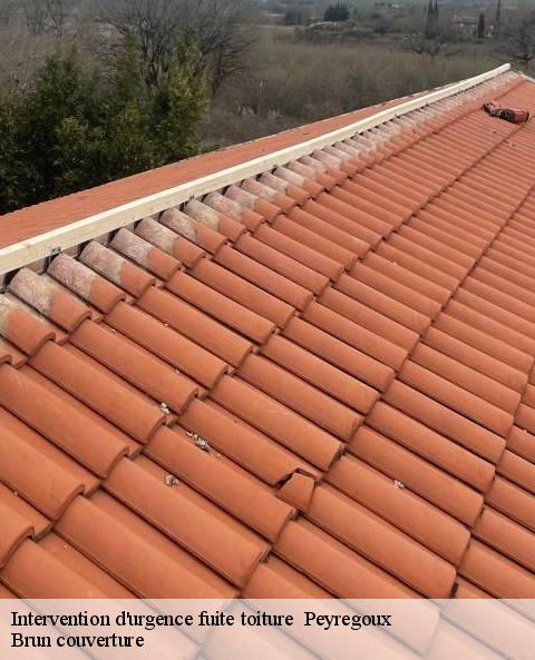 intervention-d-urgence-fuite-toiture