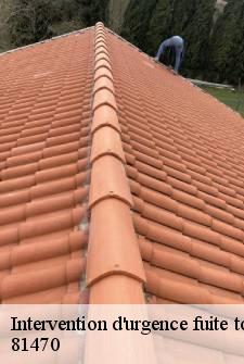 intervention-d-urgence-fuite-toiture