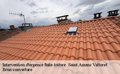intervention-d-urgence-fuite-toiture