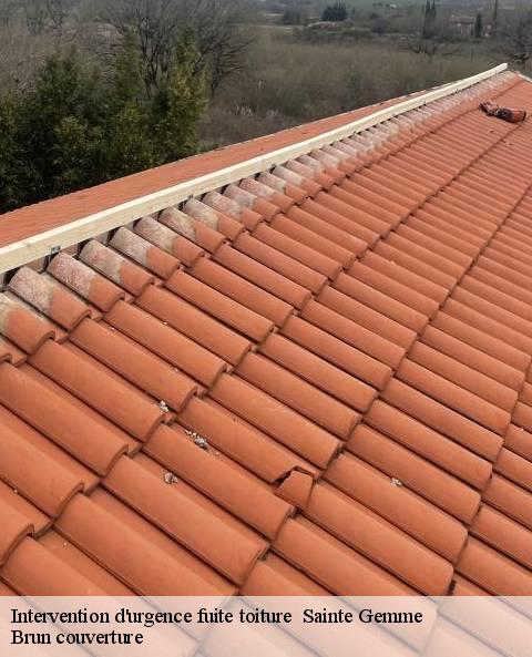 intervention-d-urgence-fuite-toiture