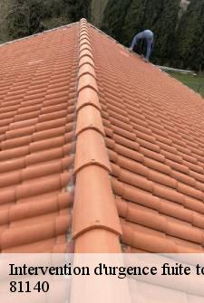 intervention-d-urgence-fuite-toiture