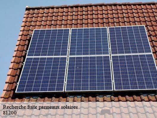 Recherche fuite panneaux solaires  81200