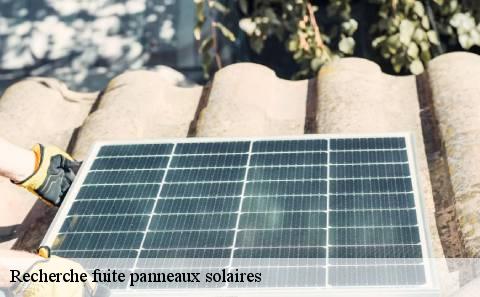 recherche-fuite-panneaux-solaires