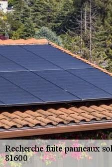 recherche-fuite-panneaux-solaires