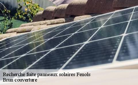 recherche-fuite-panneaux-solaires