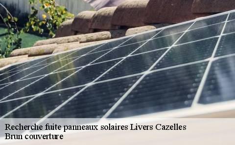 recherche-fuite-panneaux-solaires