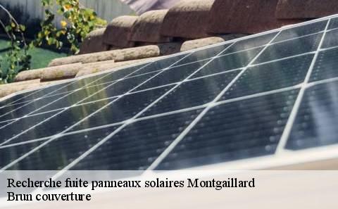 recherche-fuite-panneaux-solaires