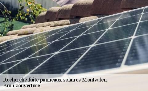 recherche-fuite-panneaux-solaires