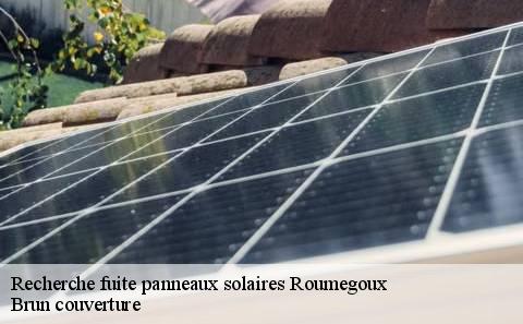 recherche-fuite-panneaux-solaires