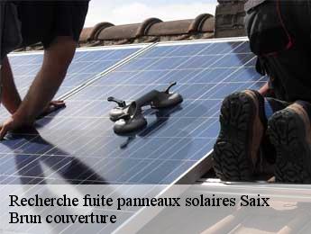 Recherche fuite panneaux solaires saix-81710 Brun couverture
