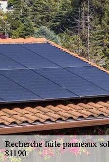 recherche-fuite-panneaux-solaires
