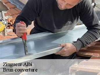 Zingueur  albi-81000 Brun couverture