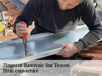 Zingueur  beauvais-sur-tescou-81630 Brun couverture