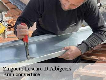 Zingueur  lescure-d-albigeois-81380 Brun couverture