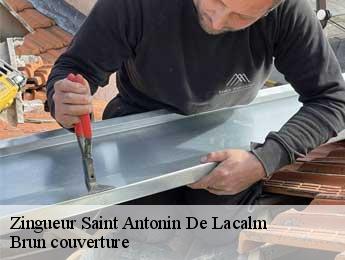 Zingueur saint-antonin-de-lacalm-81120 Brun couverture