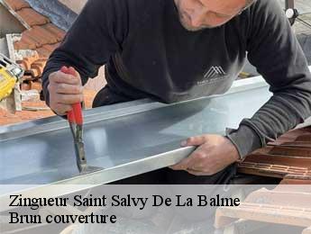 Zingueur  saint-salvy-de-la-balme-81490 Brun couverture