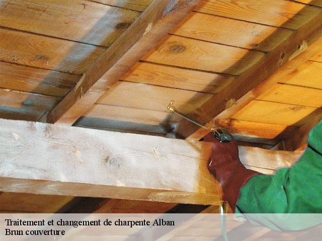 Traitement et changement de charpente  alban-81250 Brun couverture