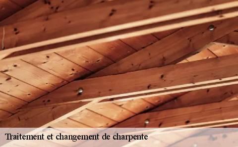 traitement-et-changement-de-charpente