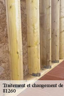 traitement-et-changement-de-charpente
