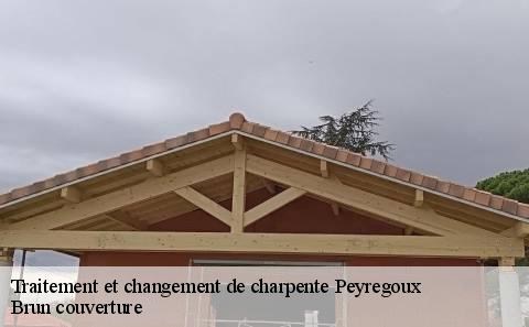 traitement-et-changement-de-charpente