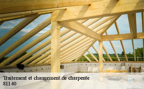 traitement-et-changement-de-charpente