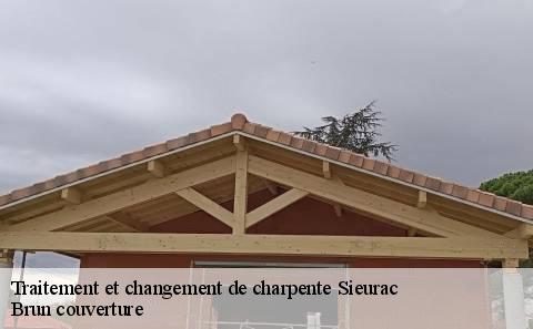 traitement-et-changement-de-charpente