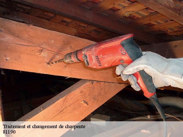 Traitement et changement de charpente  81190